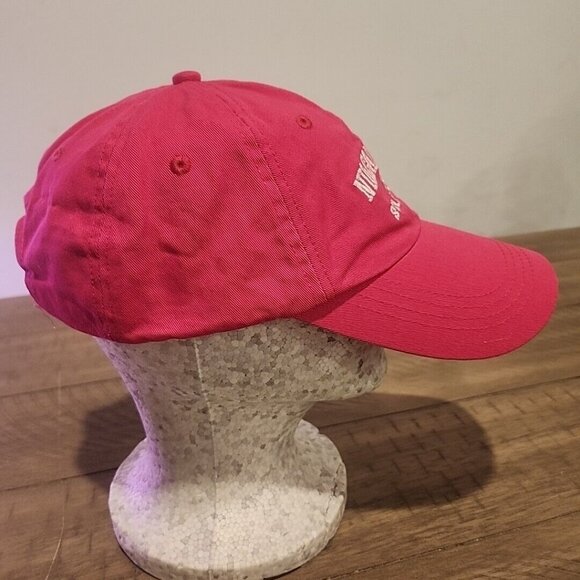 Niagra Falls State Park Cap Hat Pink Embroidered Adjustable Strap Back - Picture 4 of 6